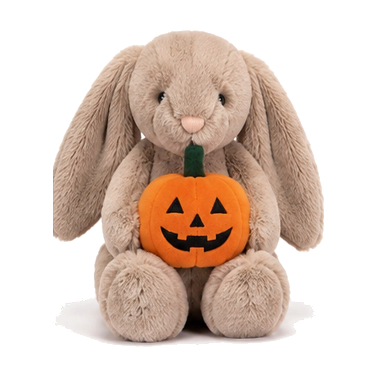Bunny with Pumpkin